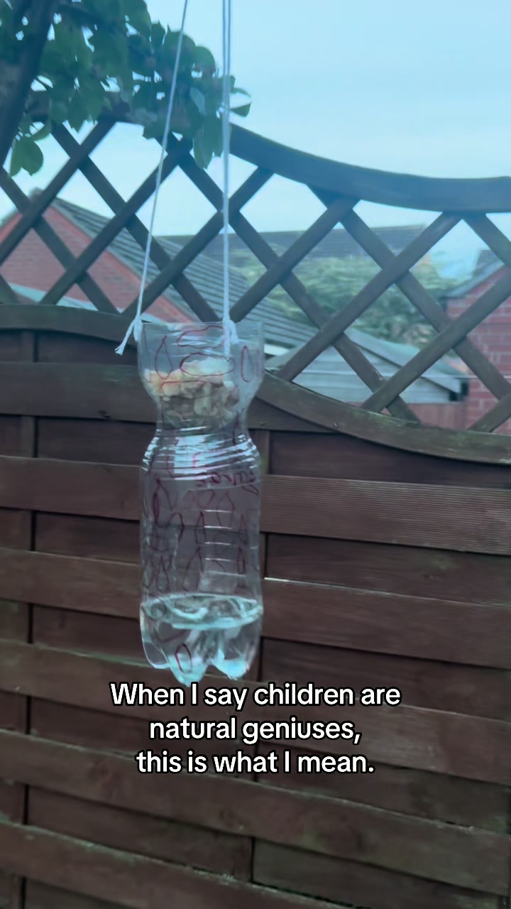 @Explorables