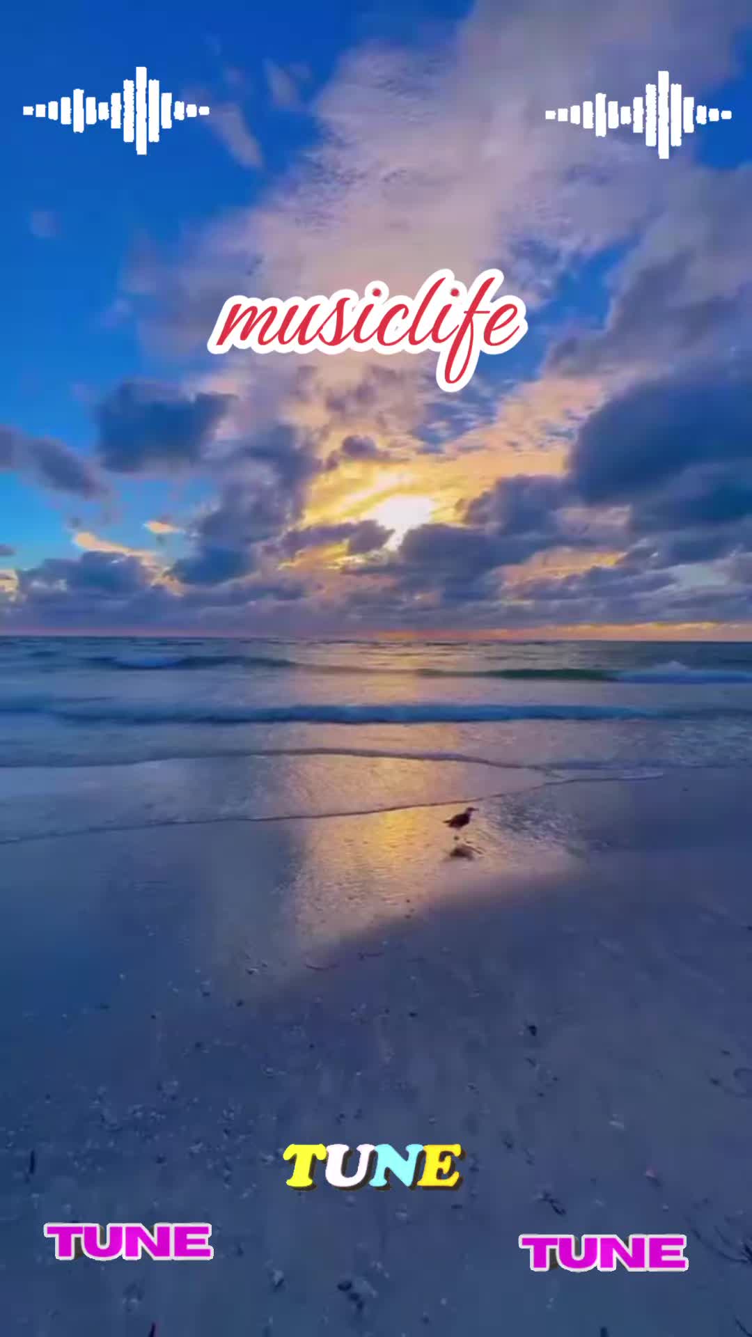 @#musiclife👍
