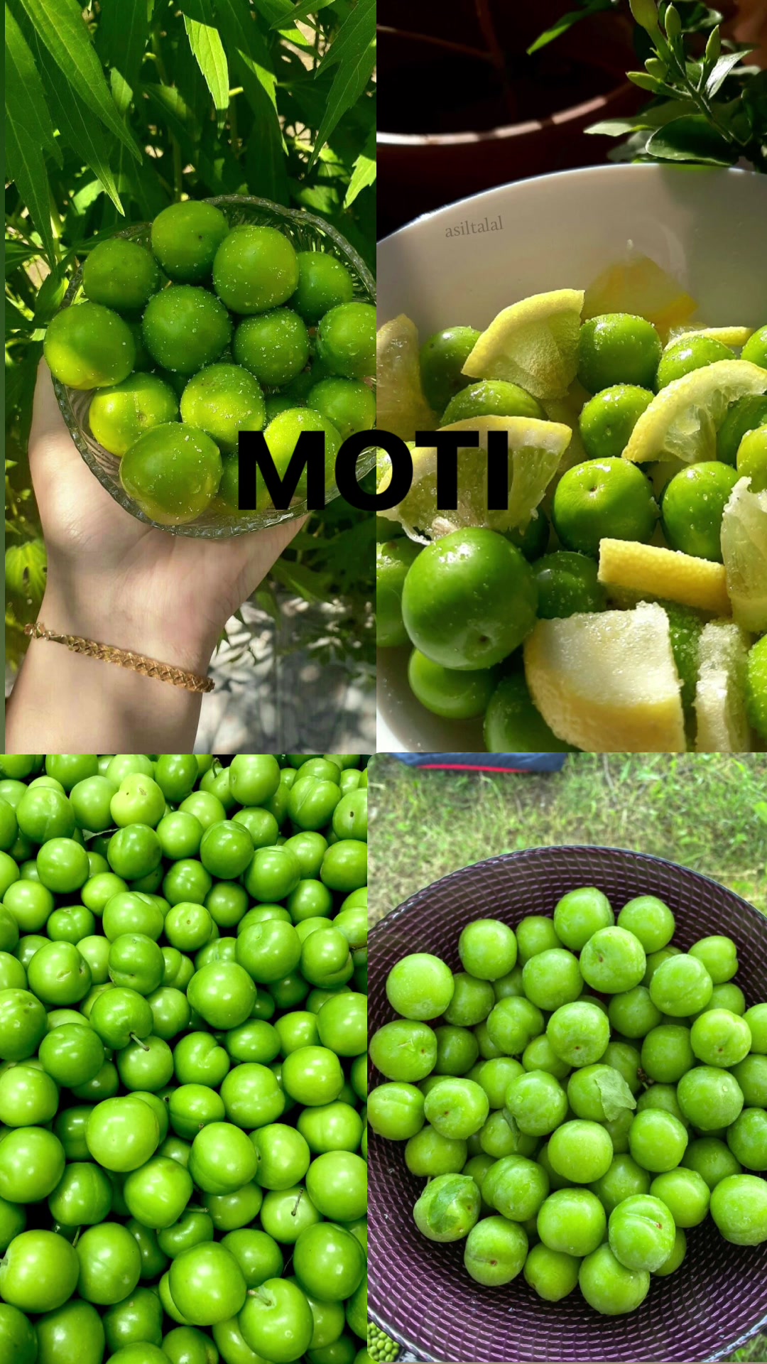 @Gelsi