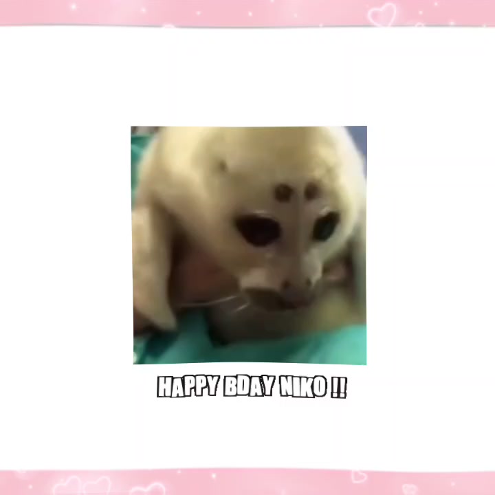 @𓆣