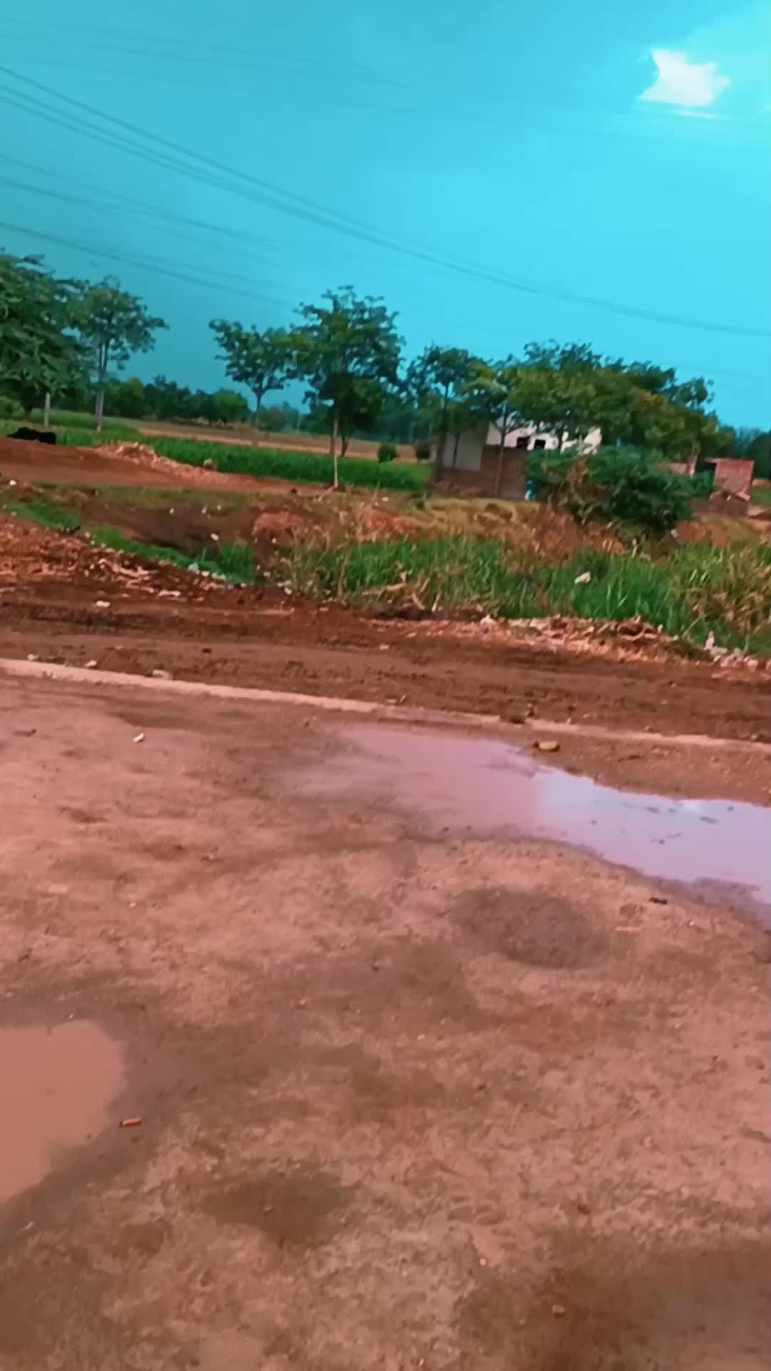 @Azad panchi .. 🚩 🦅