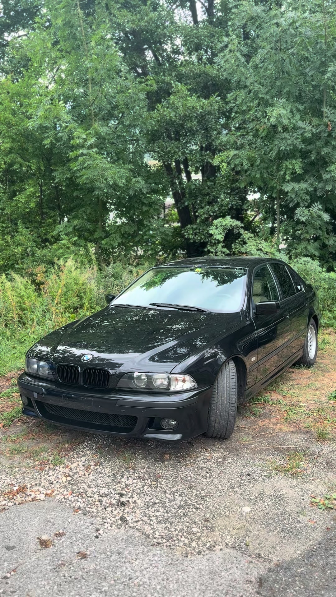 @///M✘ꜱɴᴀᴋᴇ
