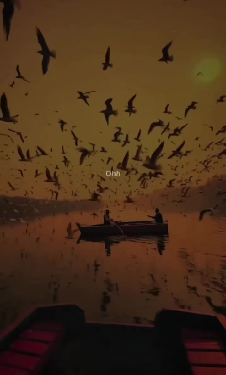 @๐๐๐_๐๐๐๐๐๐ ๐ถ