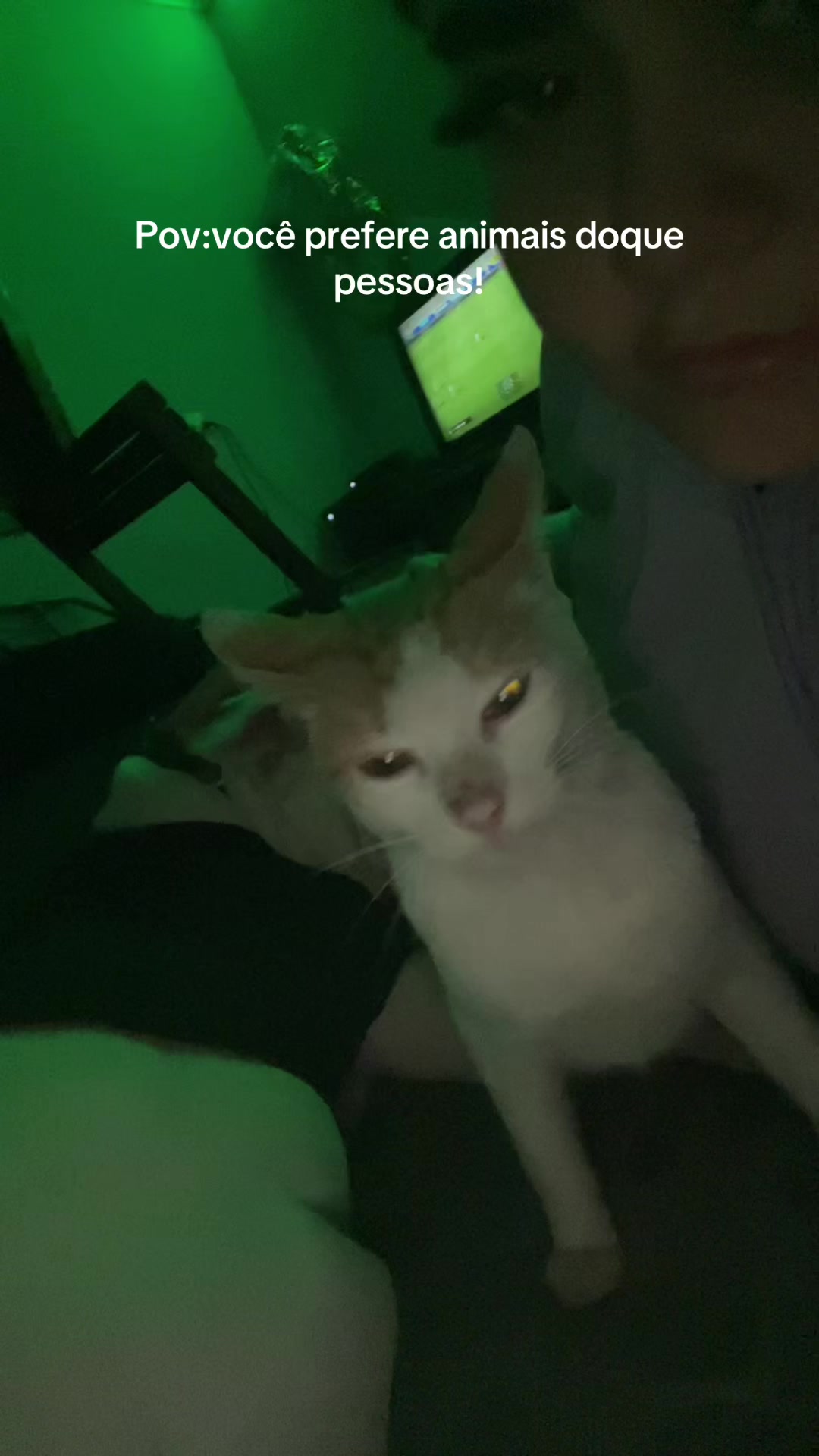 @๐ฒ๐๐๐๐๐๐๐ ๐
' ๐ซ๐๐๐