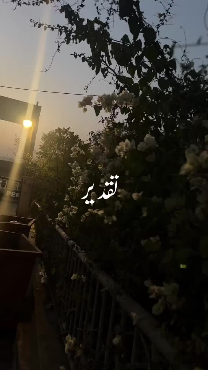 @mohsin_sticxs