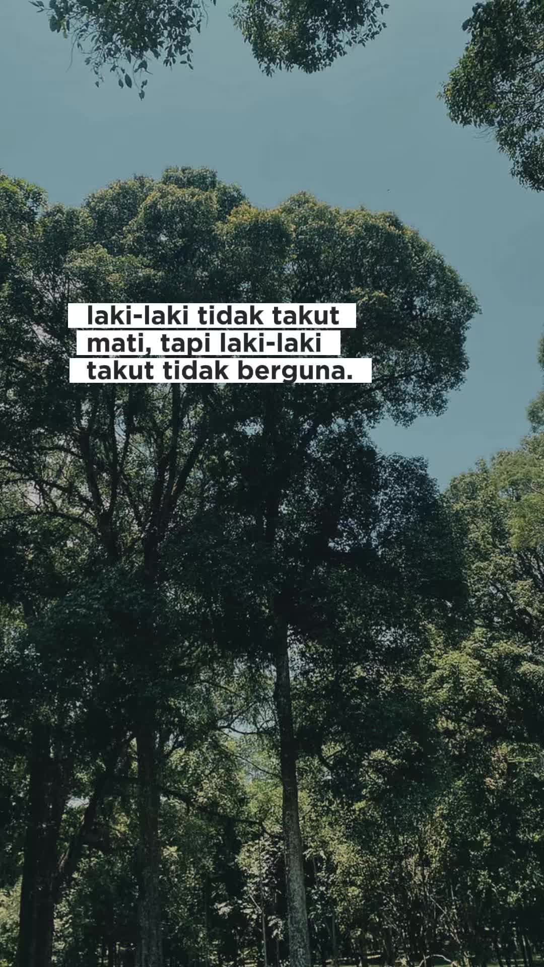 @Mhendra