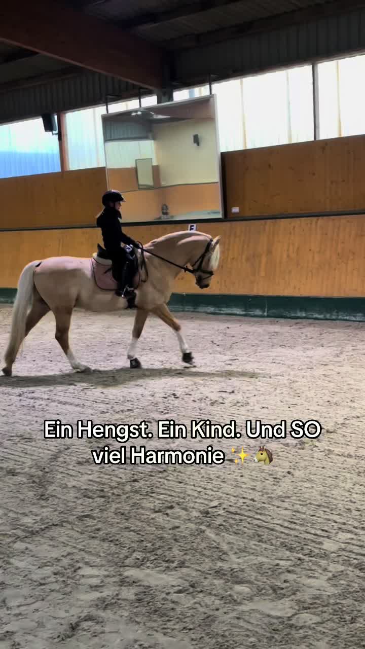 @Shanea & ihre Ponys ♥️🐴