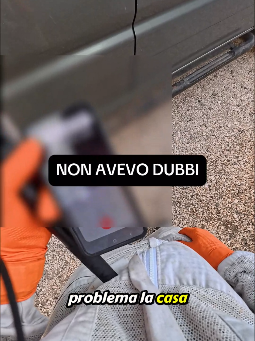 @Daniel Palmieri