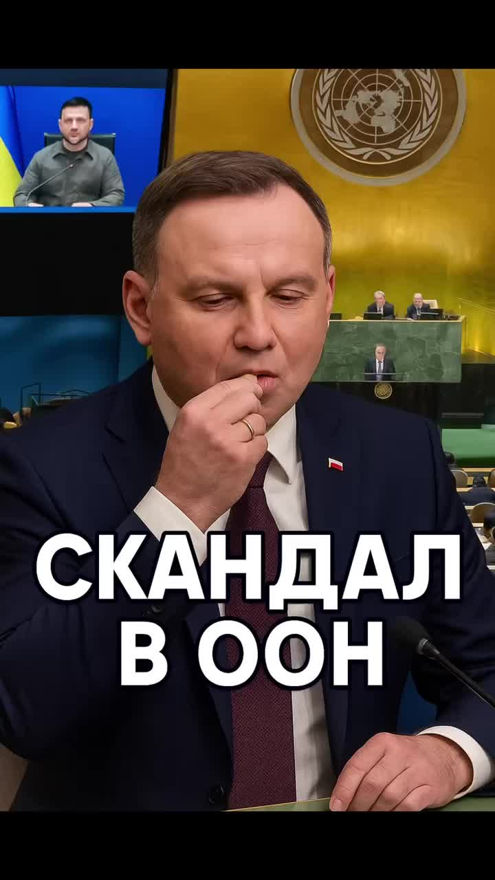 @Дикий Движ