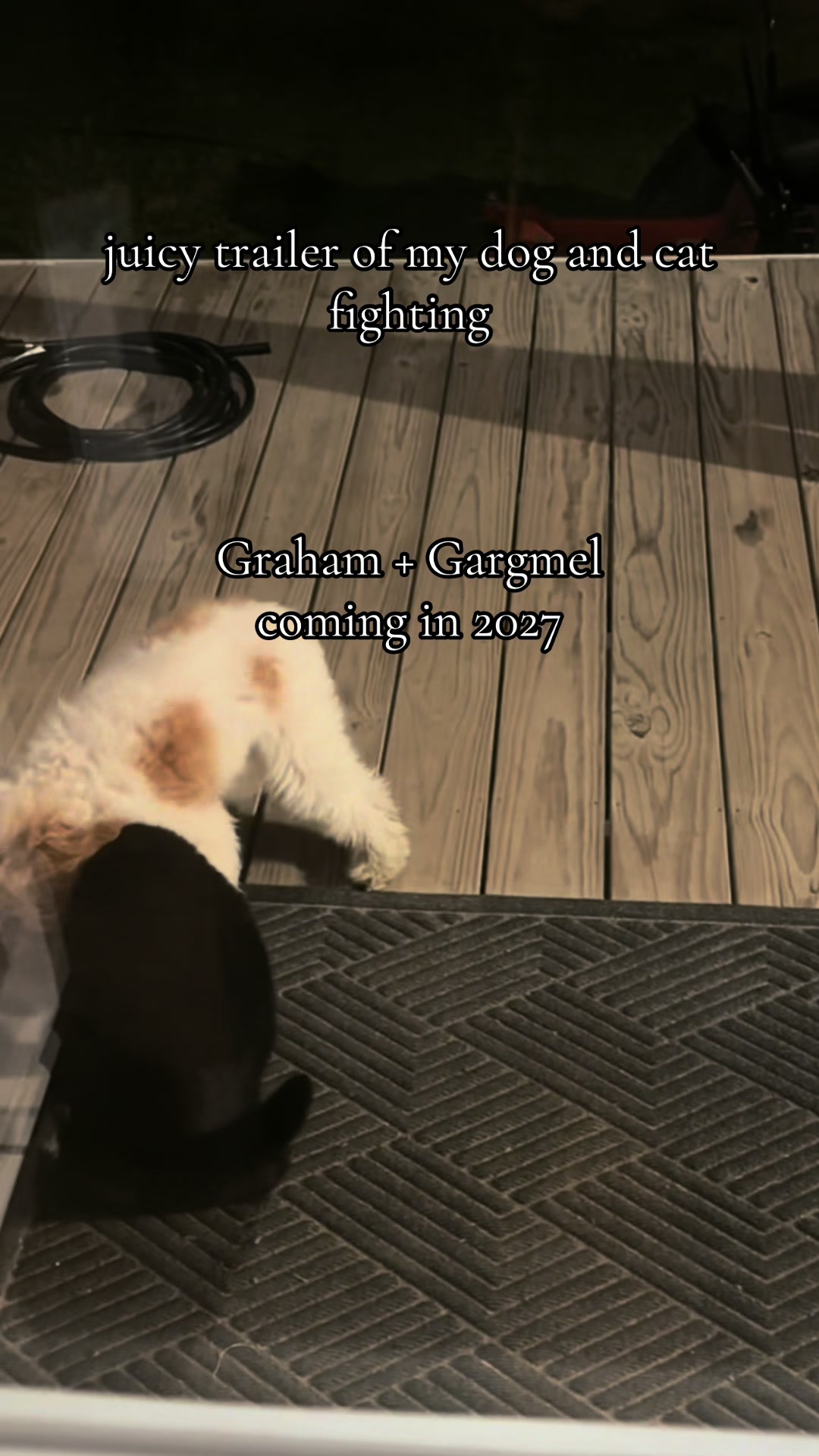 @soophfreakingfunny