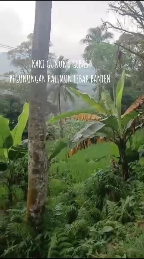 @APRI RADJA GROSIR