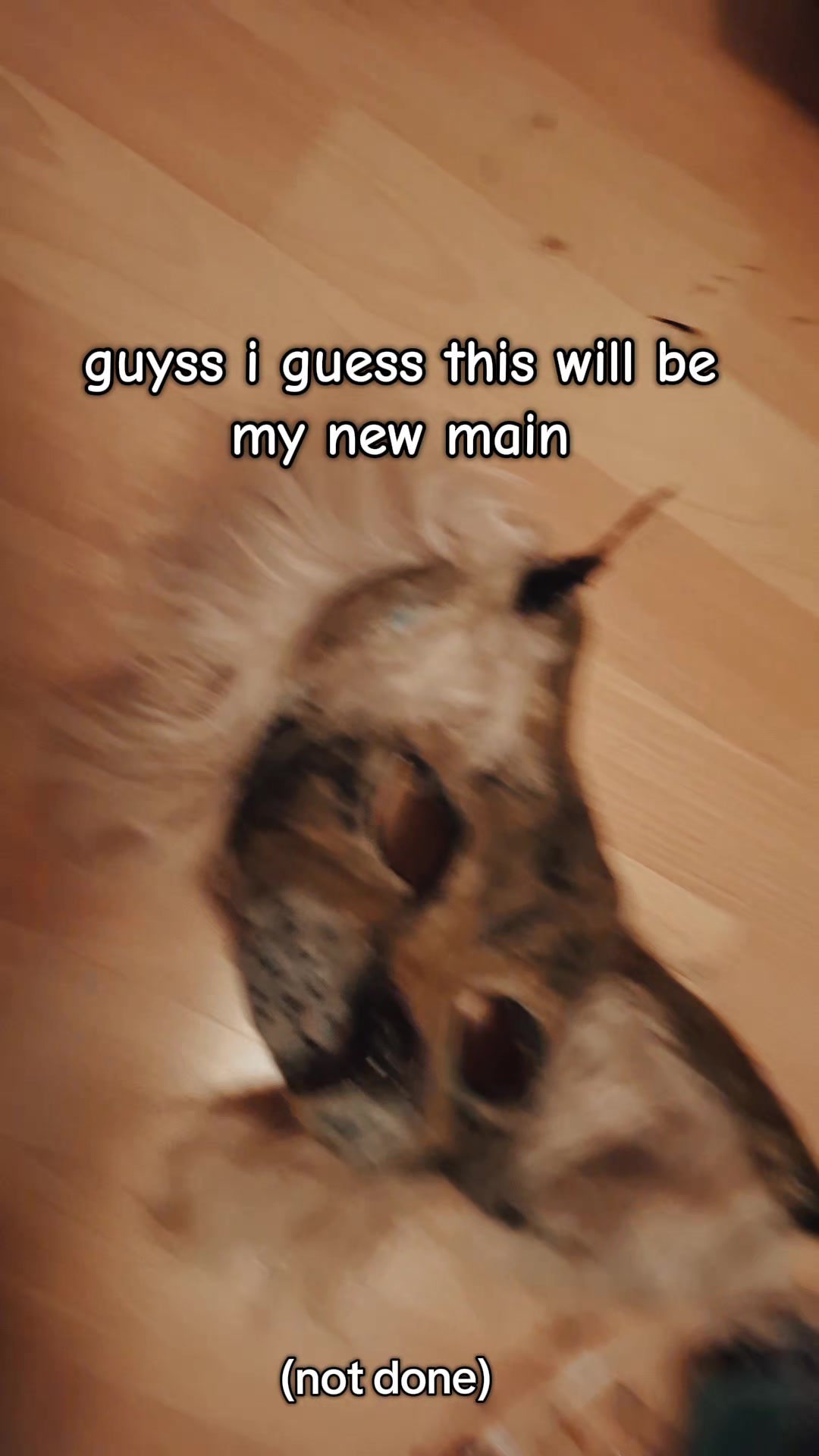 @☾⋆𝙻𝚞𝚌𝚒𝚏⋆☽
