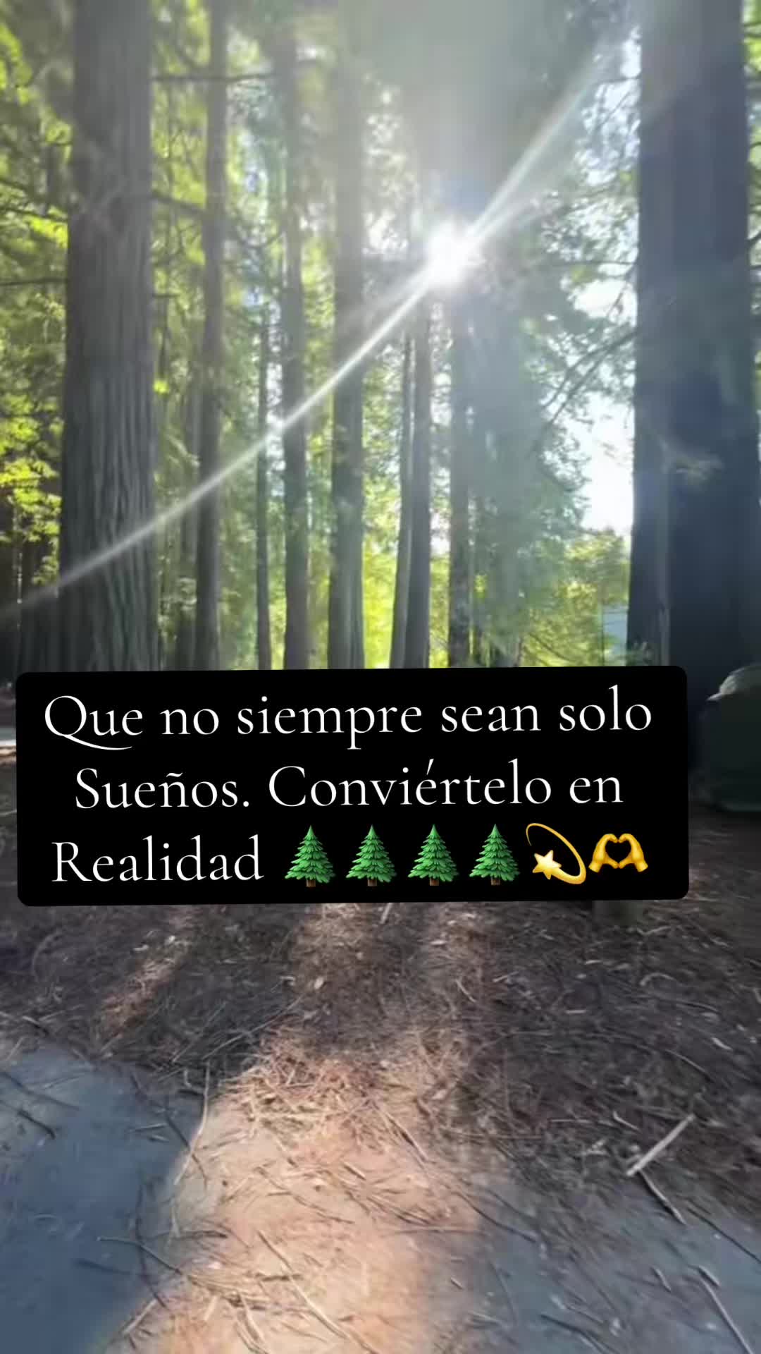 @Eve Luis