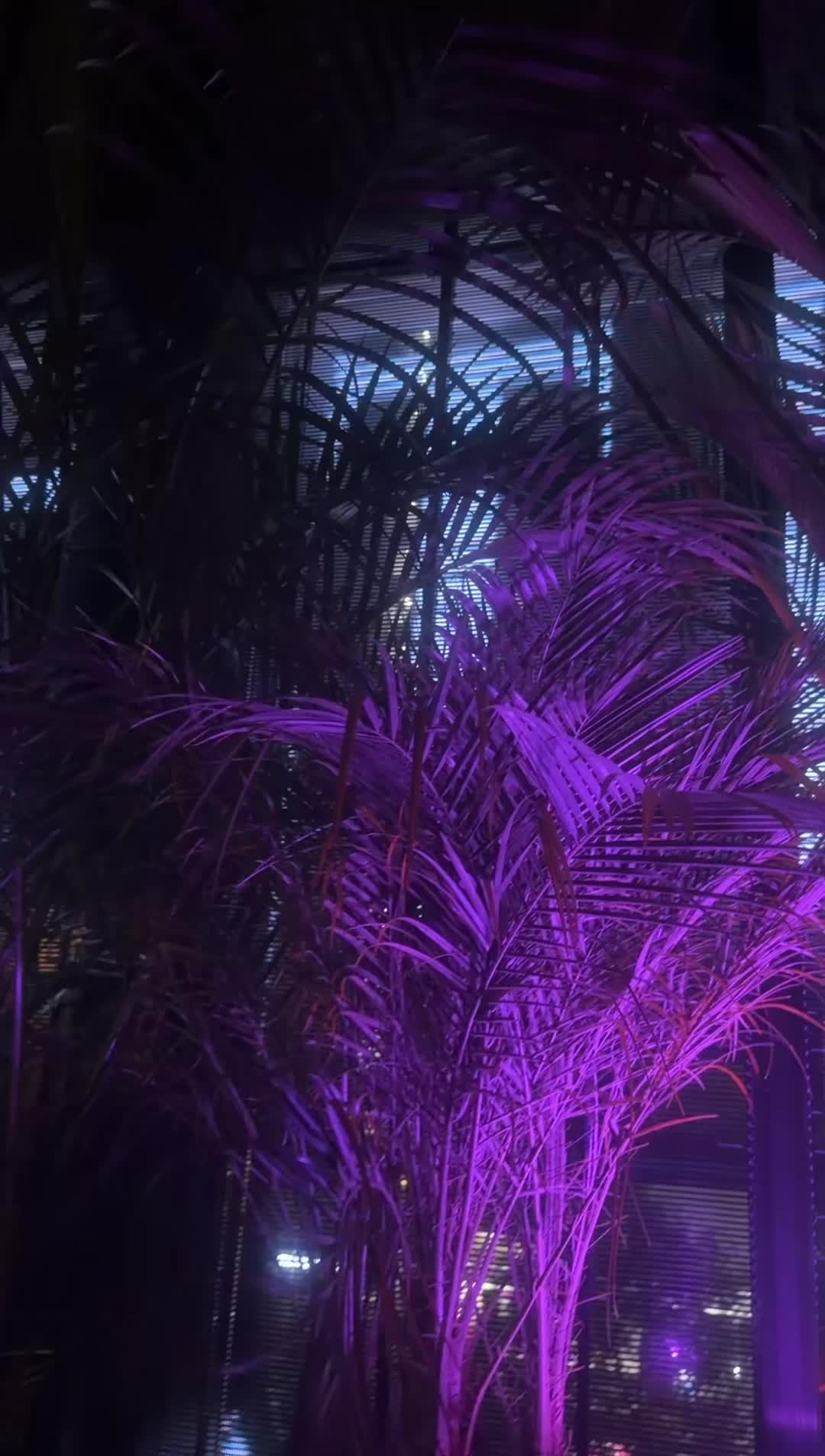 @سجهامبورك جانتي