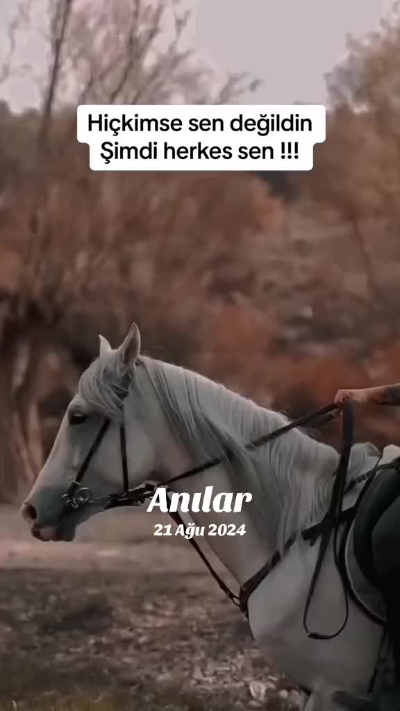 @SeSsiZzLik