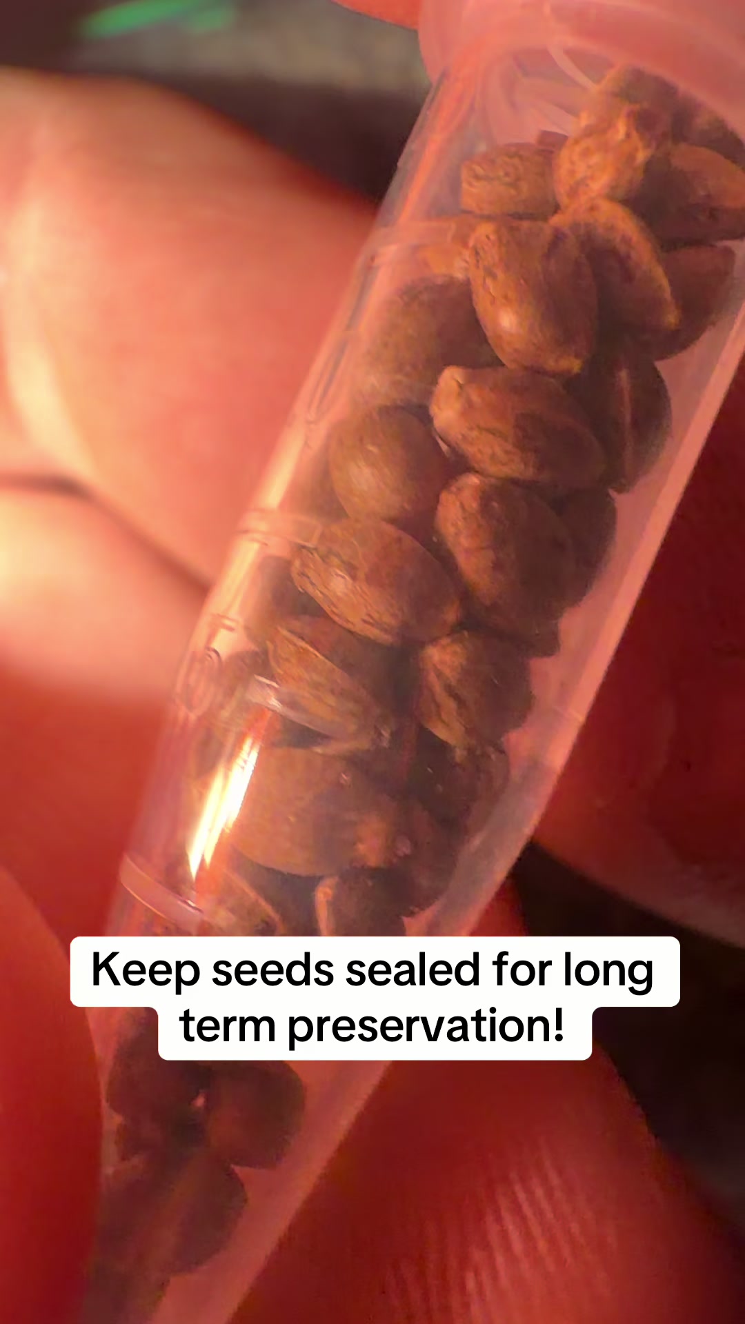 @SEEDTIVA