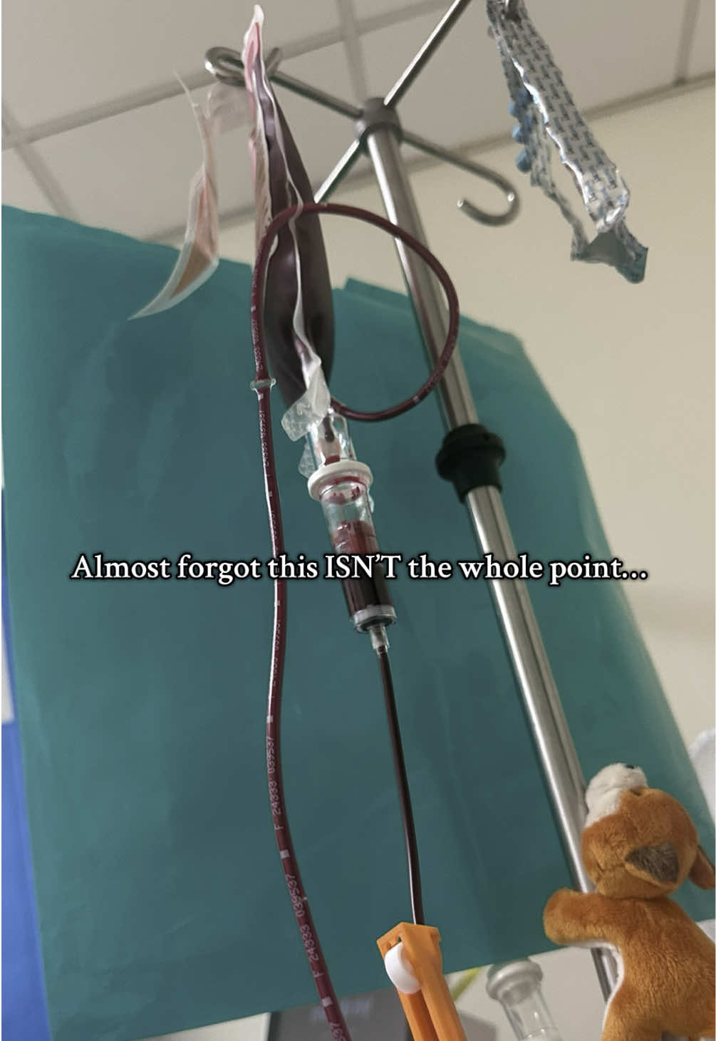 @Bethschronicdiaries 🦋❤️&zwj;🔥♿️