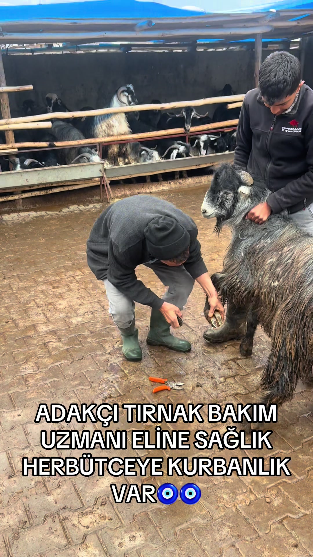 @HASAN AVŞAROĞLU🧿🌶️