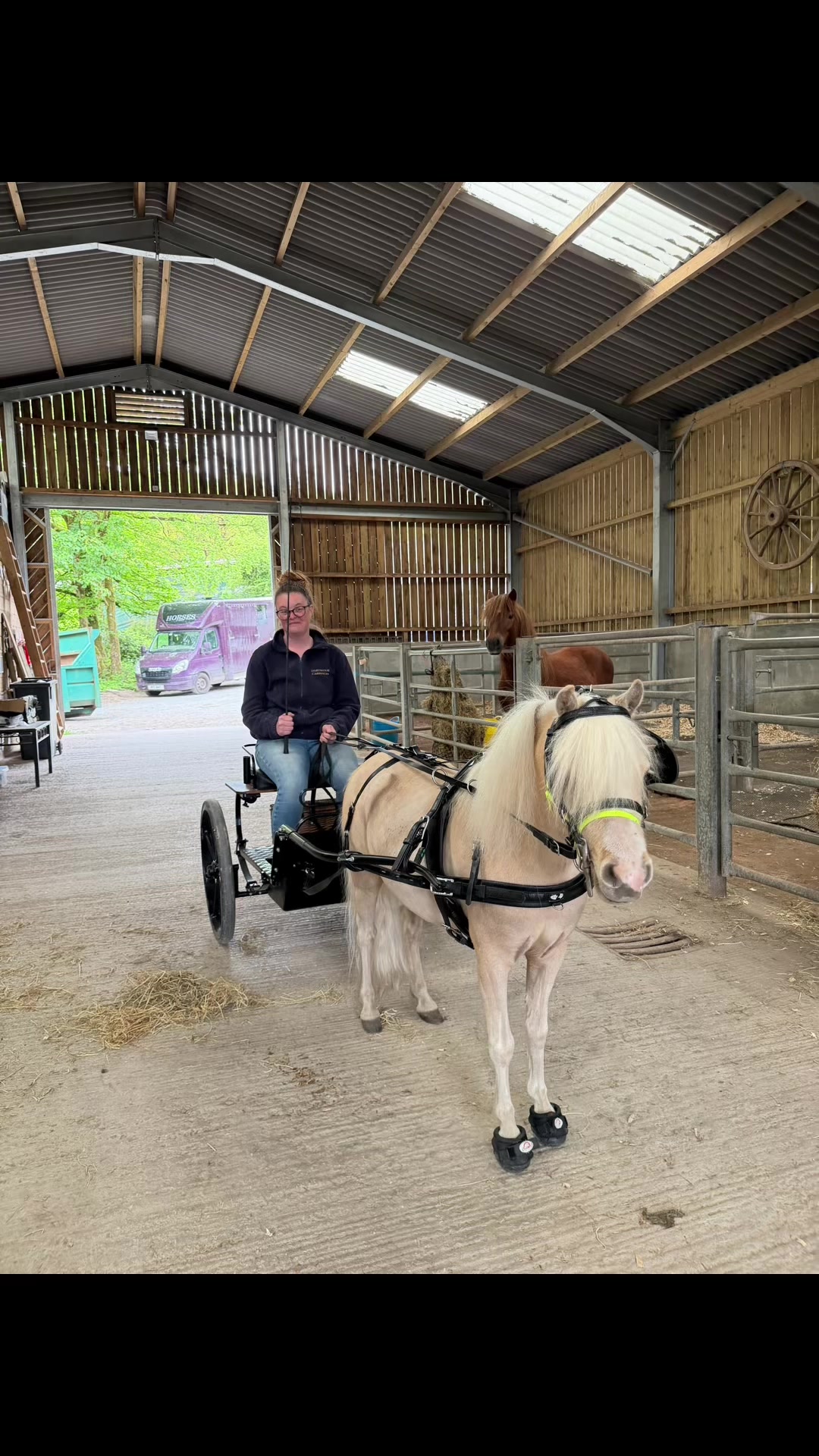 @Dartmoor Carriages