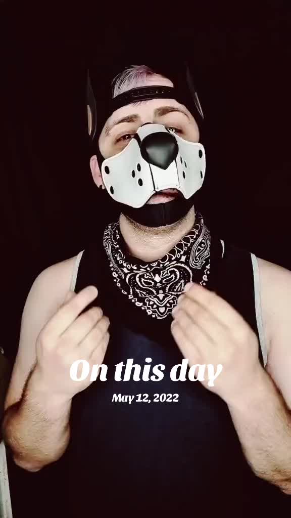 @Pup_Koba
