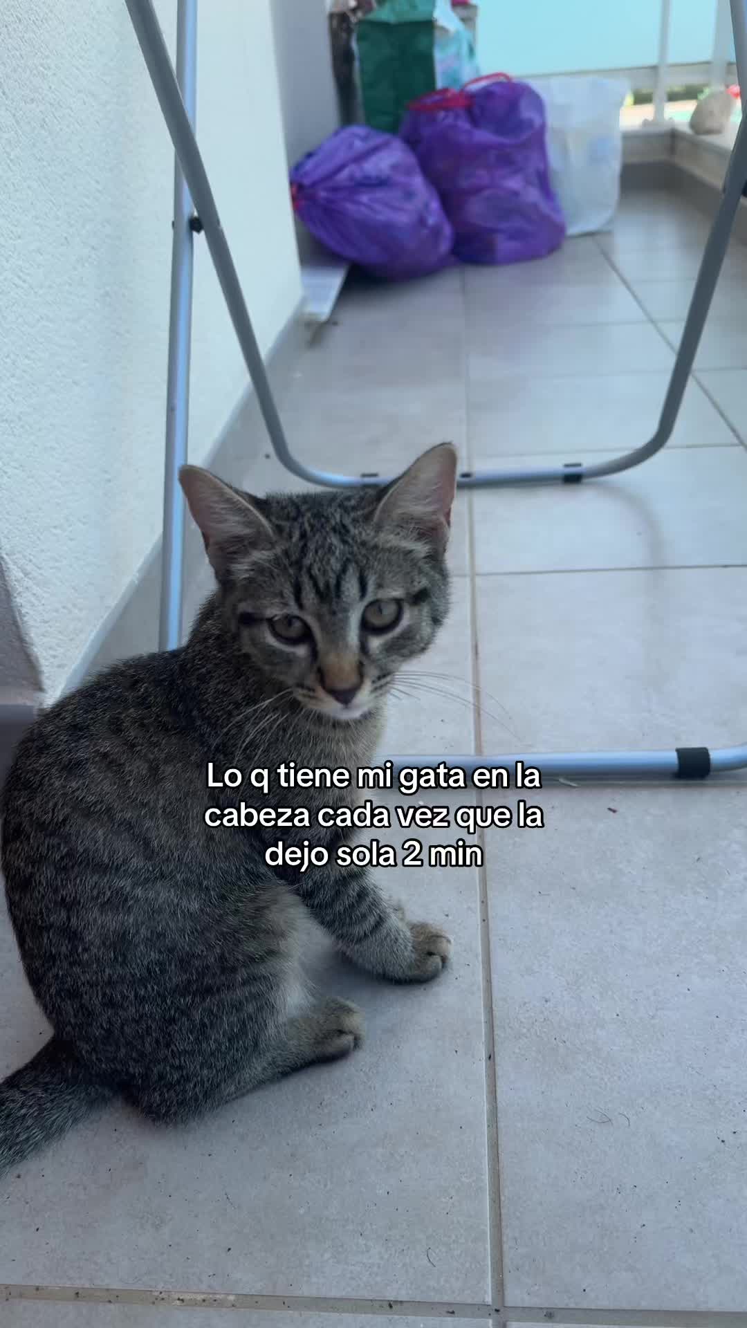 @aitanamnzo2