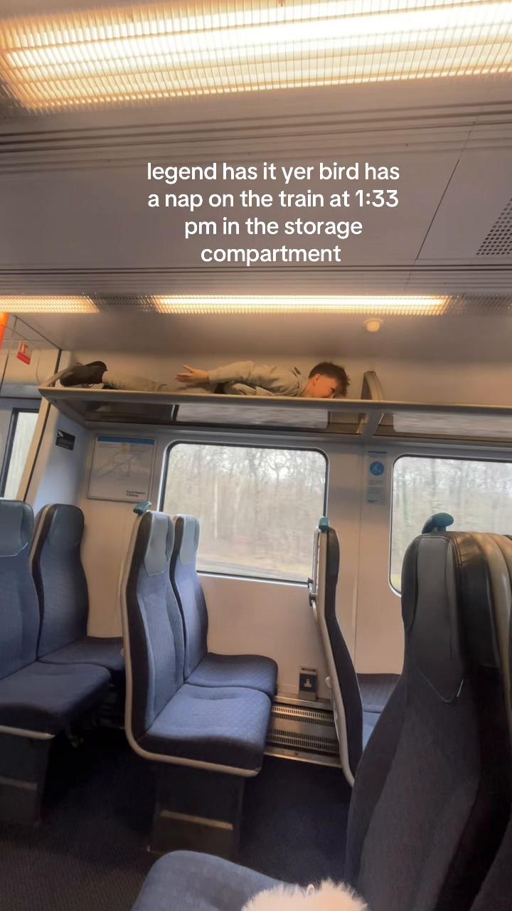 @𝓽𝓪𝓵𝓵𝓾𝓵𝓪𝓱-𝓫𝓮𝓪𝓾🤍