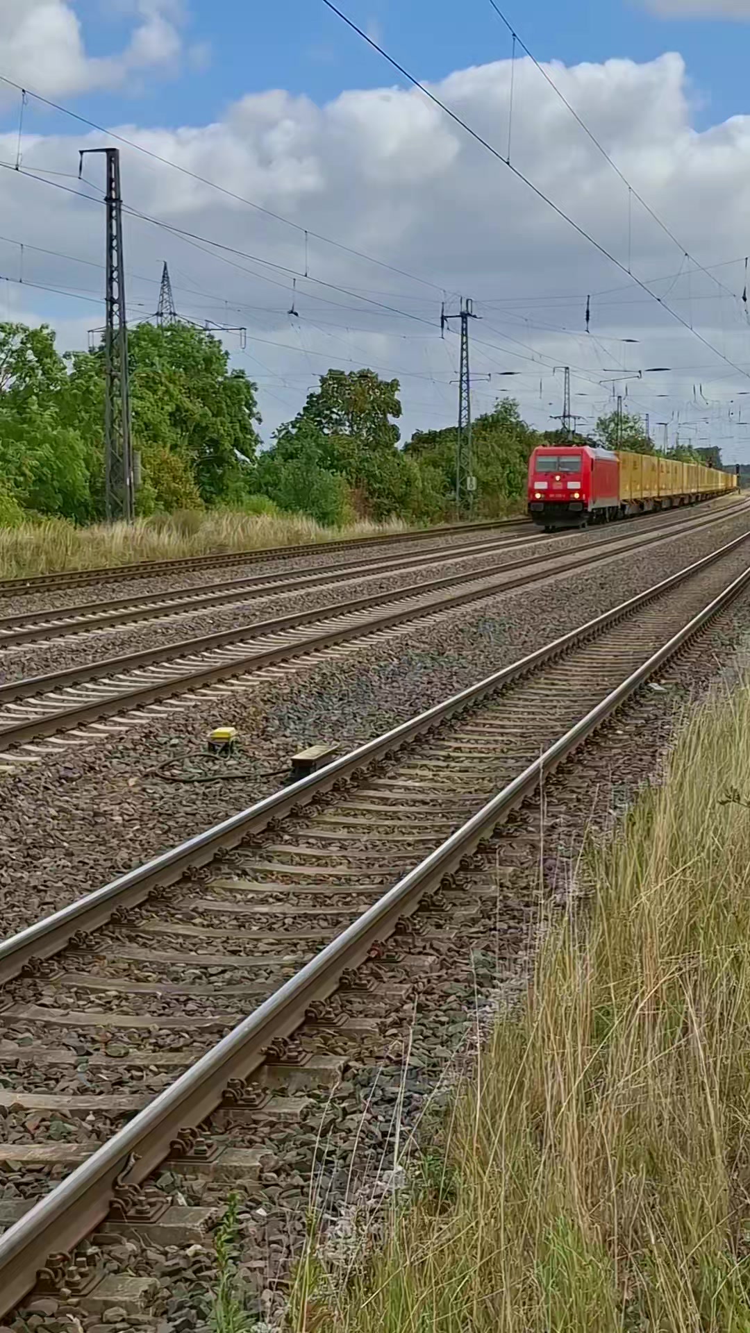 @Angeln und Z&uuml;ge 🇩🇪🚆🇩🇪🎣