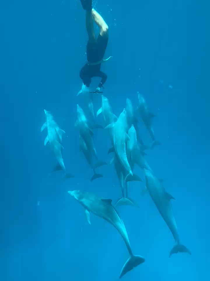 @HeritageToursSafaris