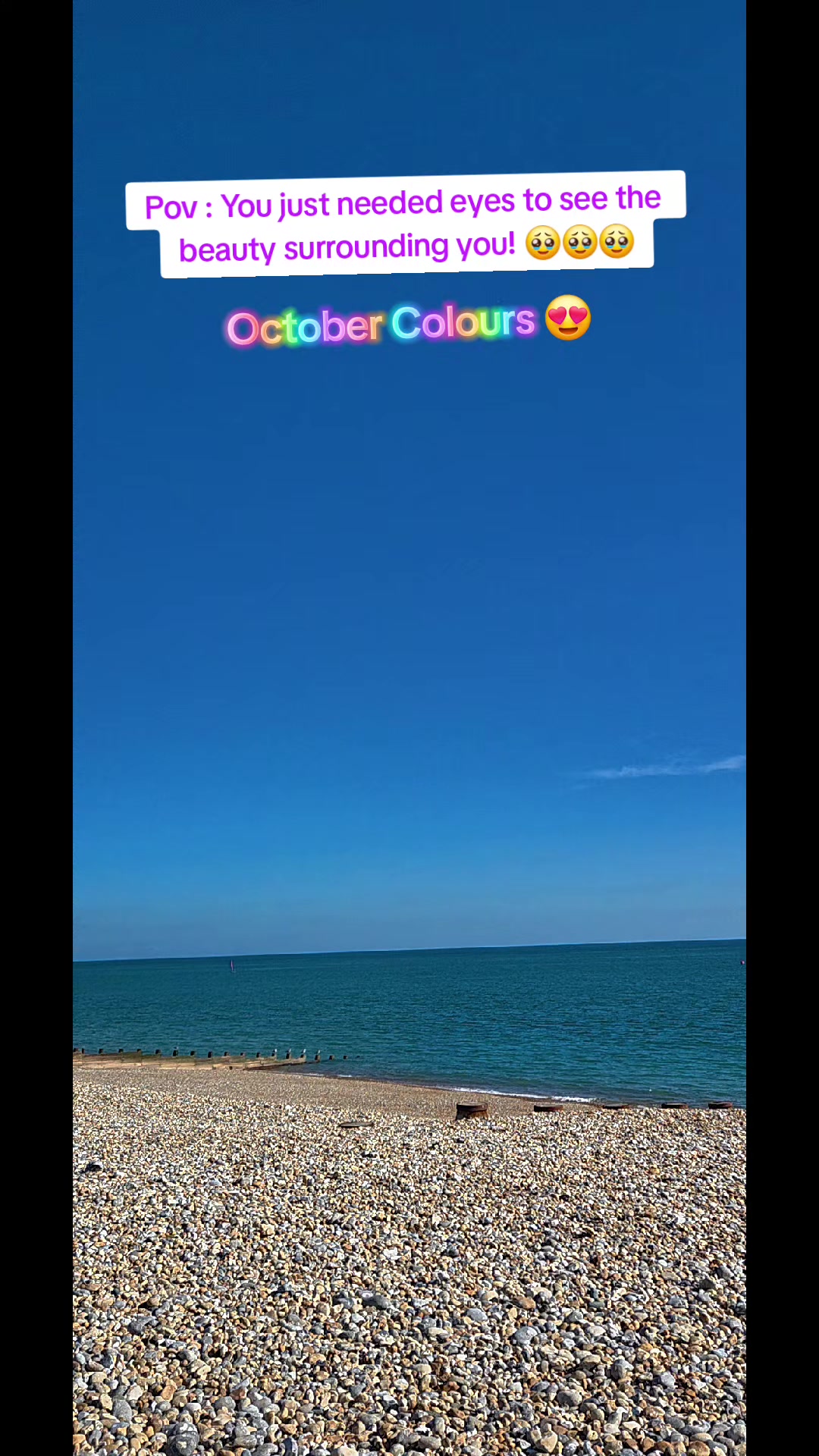 @💣BârfeOnline💣 🧿