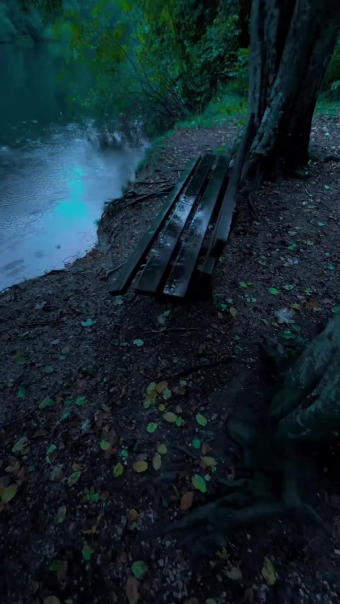 @ام عبوده