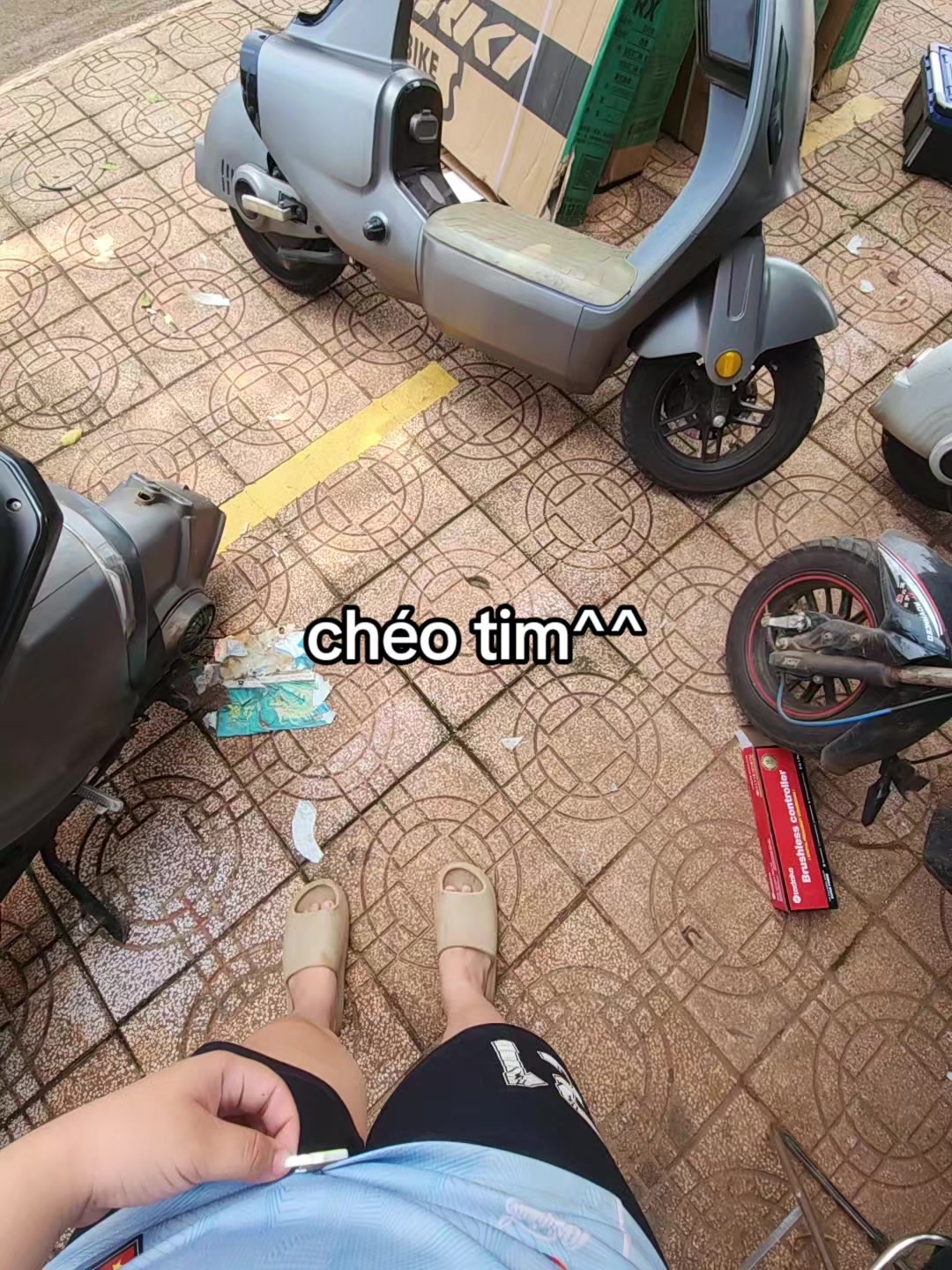 @titt.