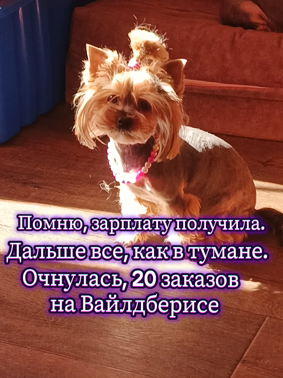@Соня и Бетти ❤️