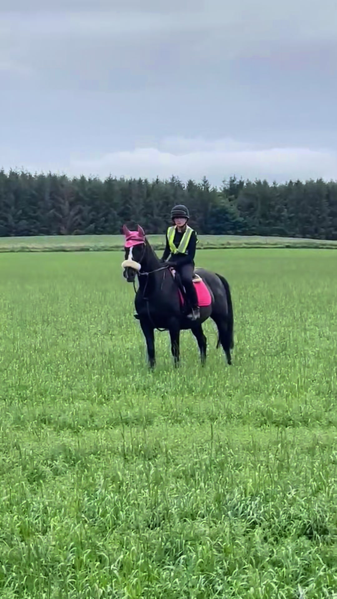 @lilys.riding🎀🐴