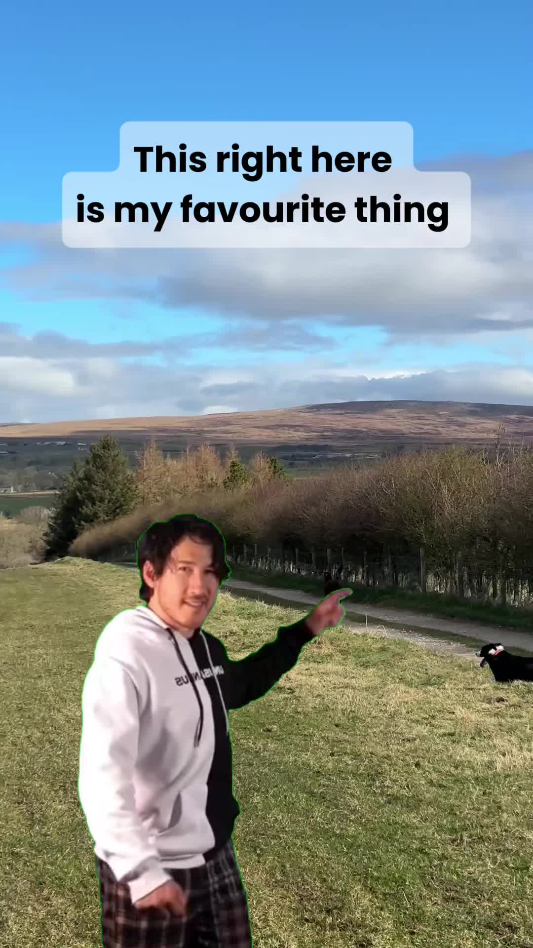@Marti Border Collie Geek