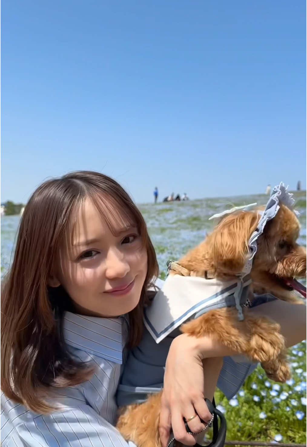 @奥仲麻琴✈️