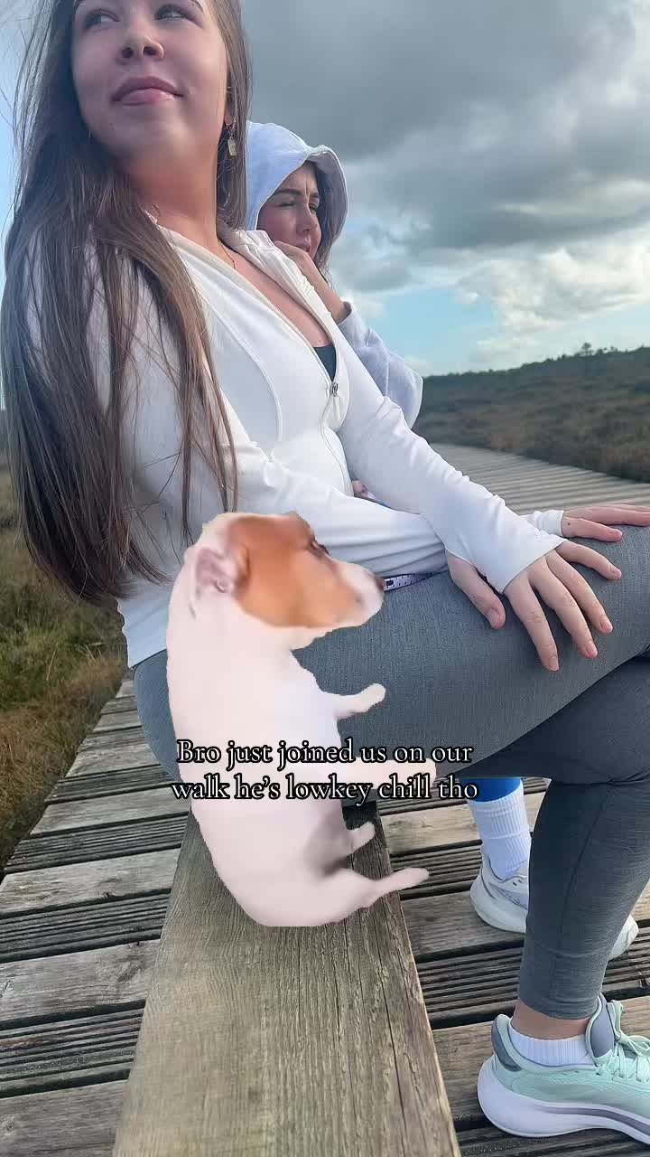 @AL