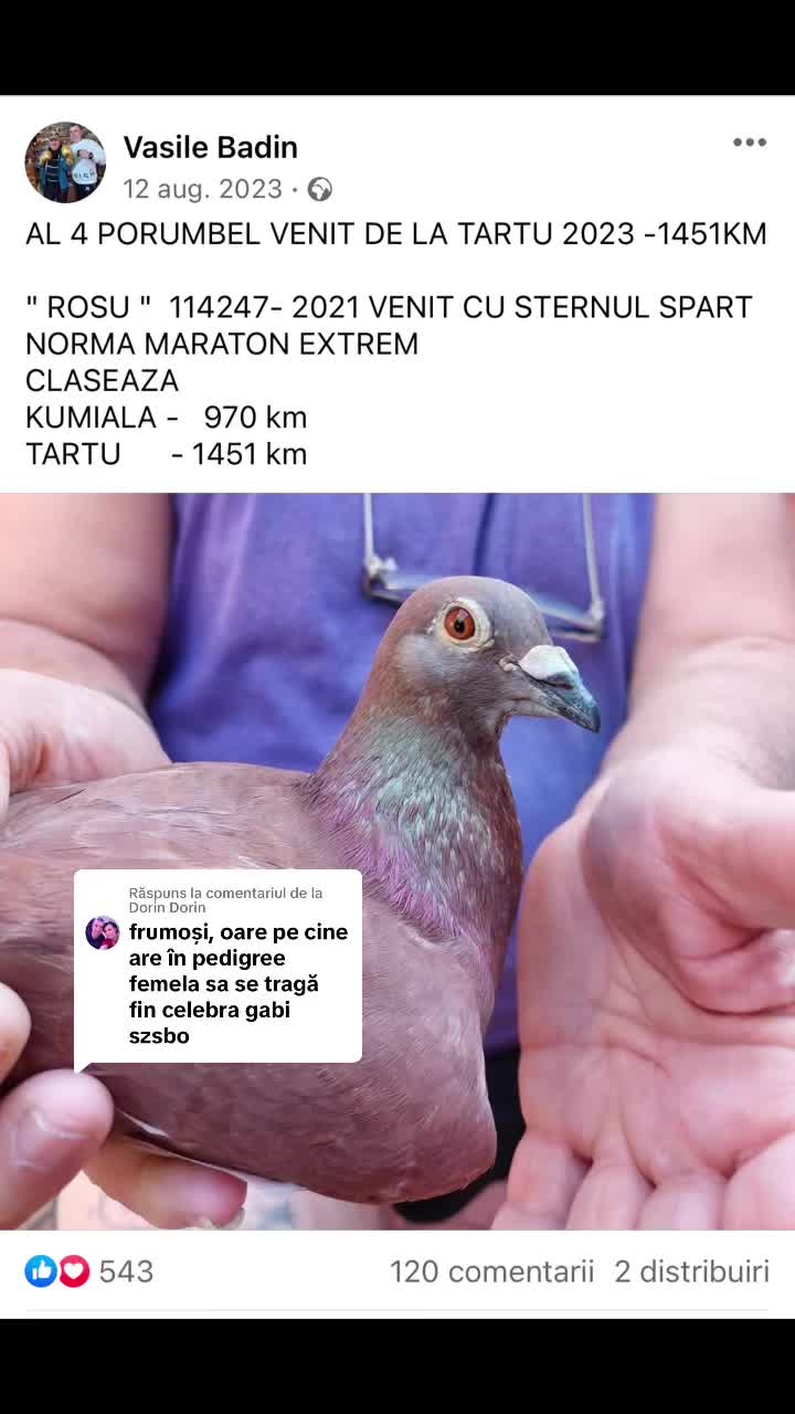 @Adrian Burtea