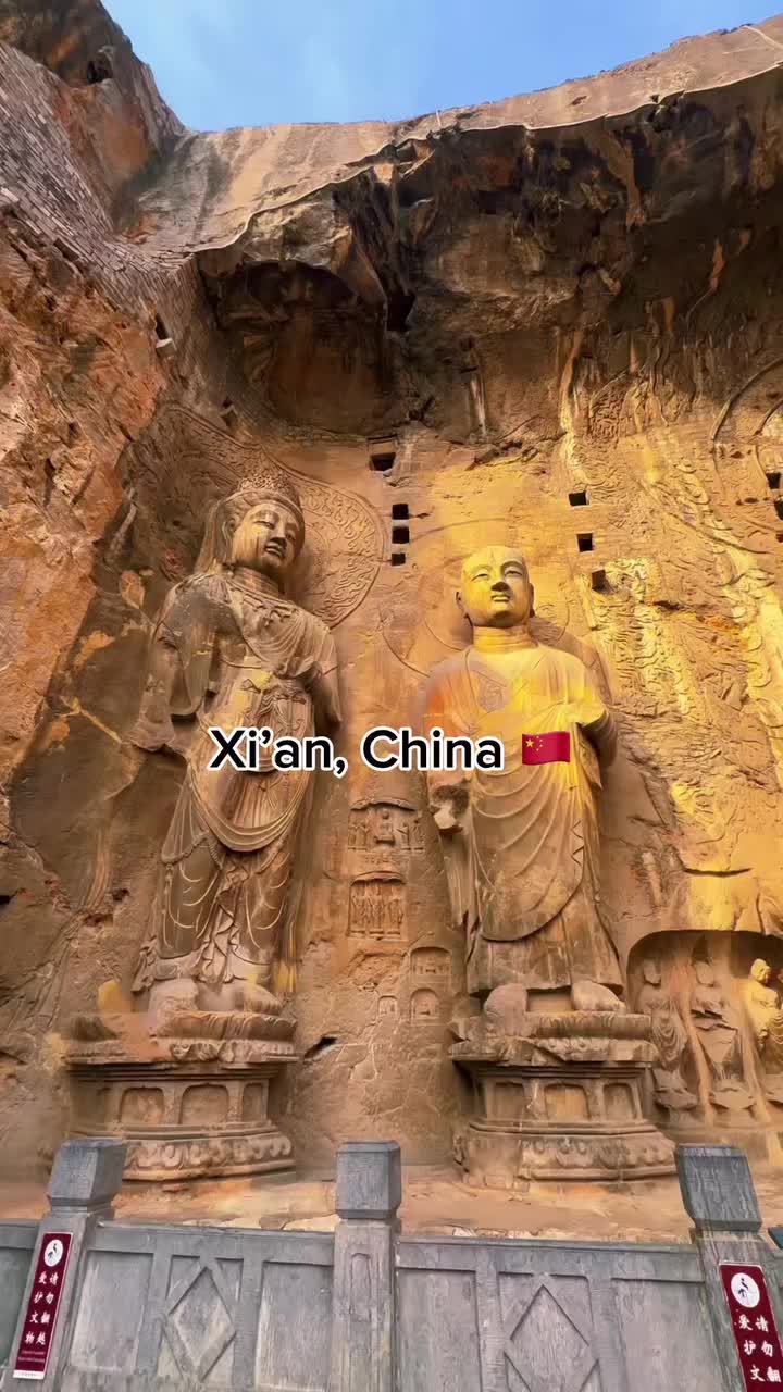 @flyzie.com