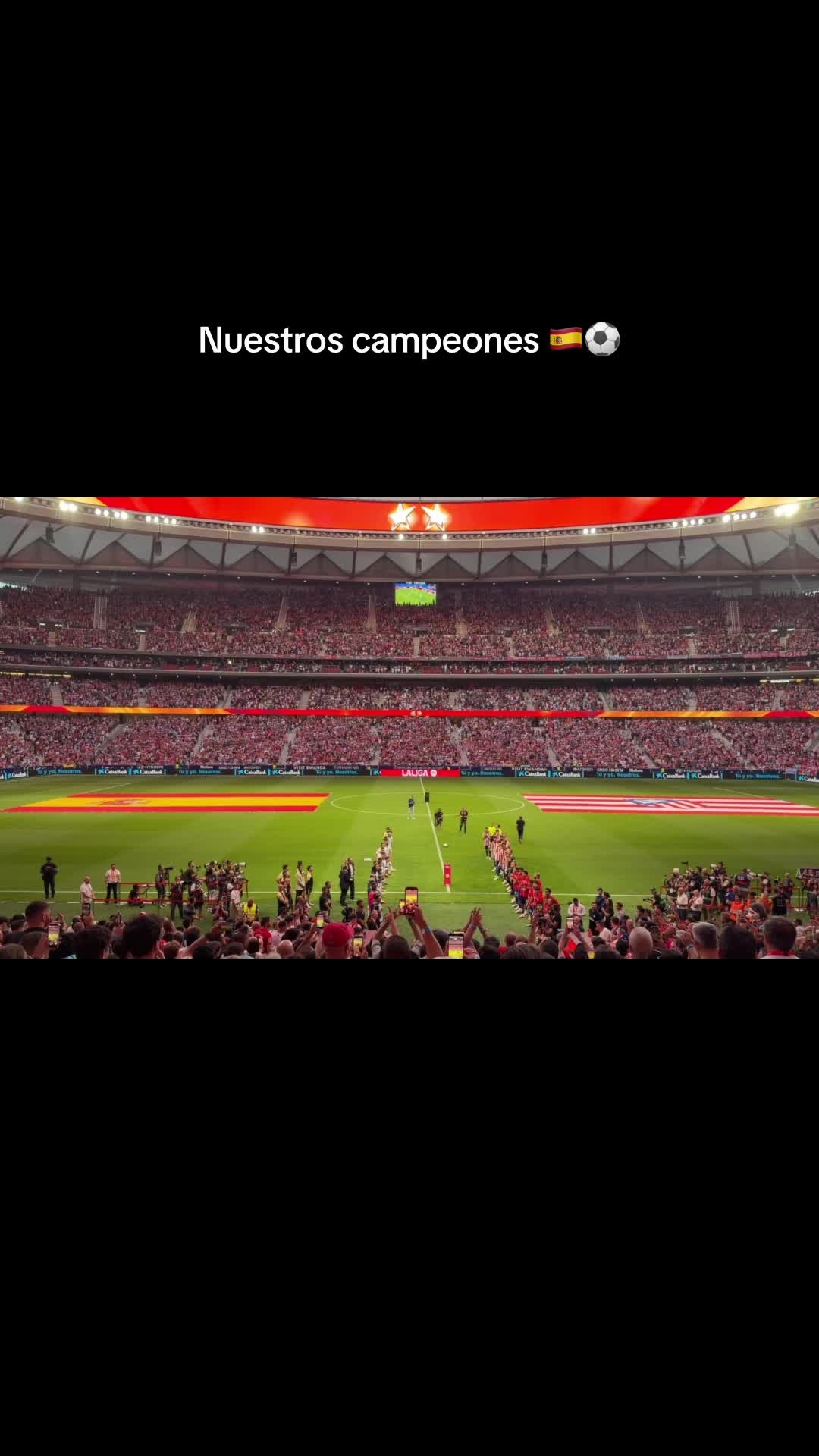 @emedemaestra5
