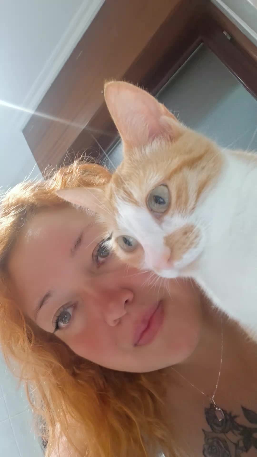 @Happy Cat