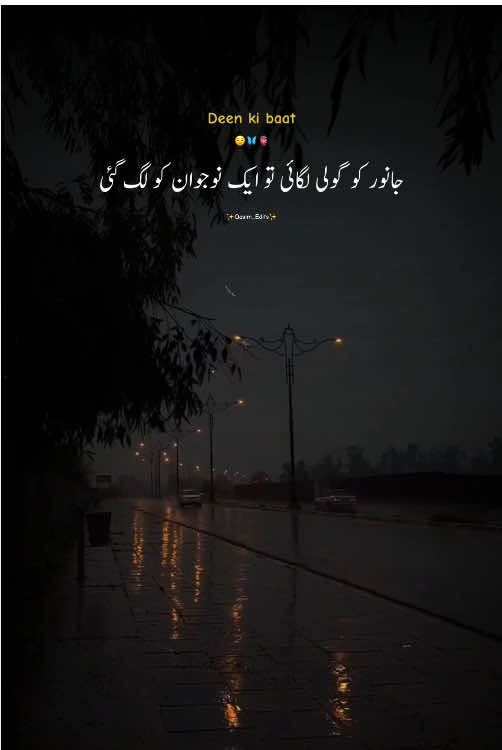 @🌸 LUQMAN EDITS ✍️