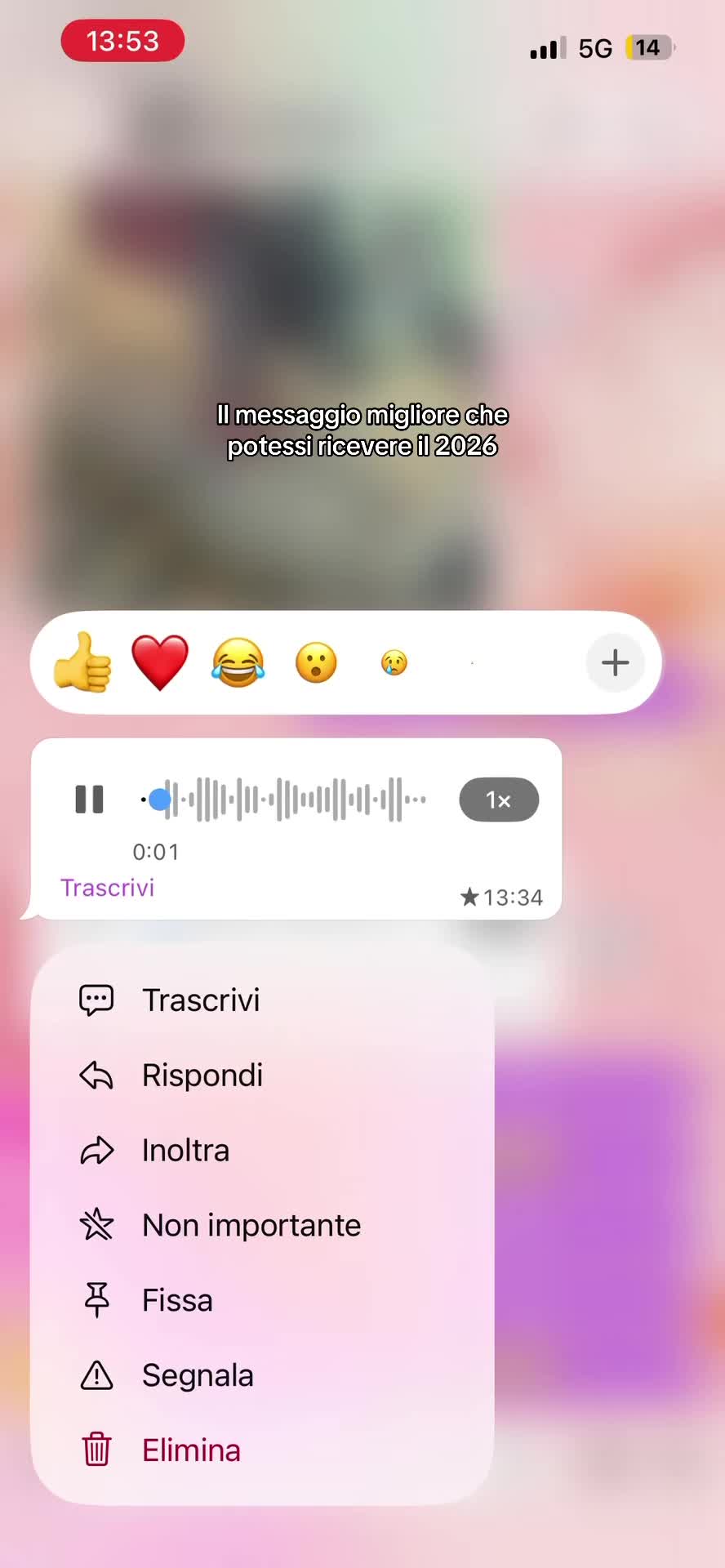 @giuliabeauty18