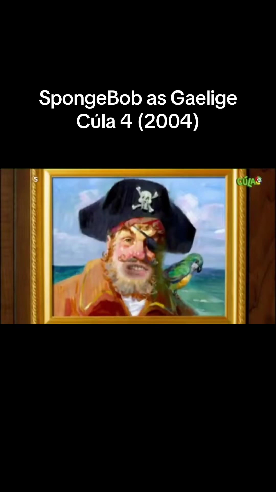 @Classic Irish Videos