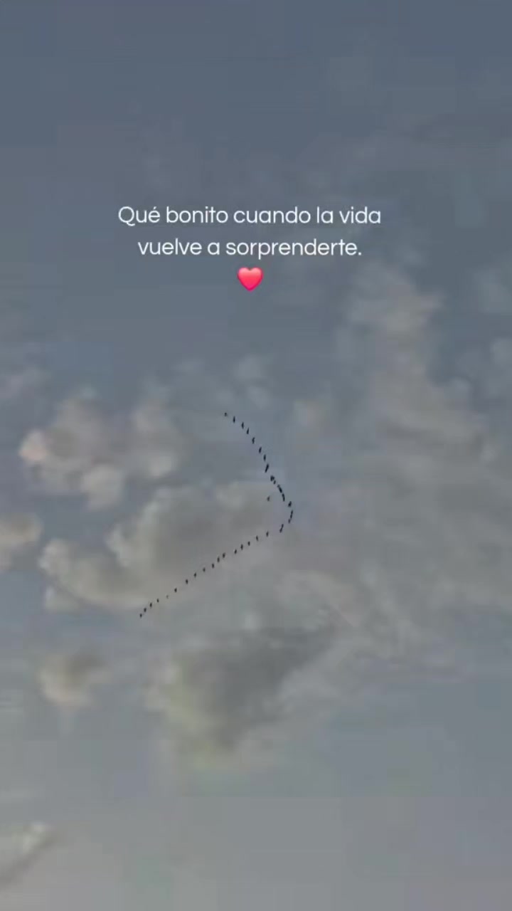 @Arlett virgo30🤍🩵
