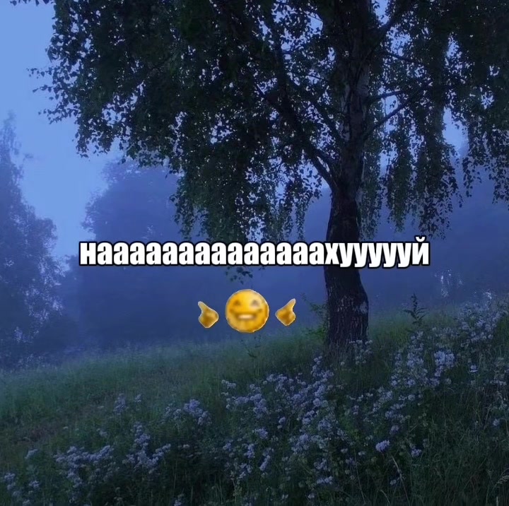 @luna