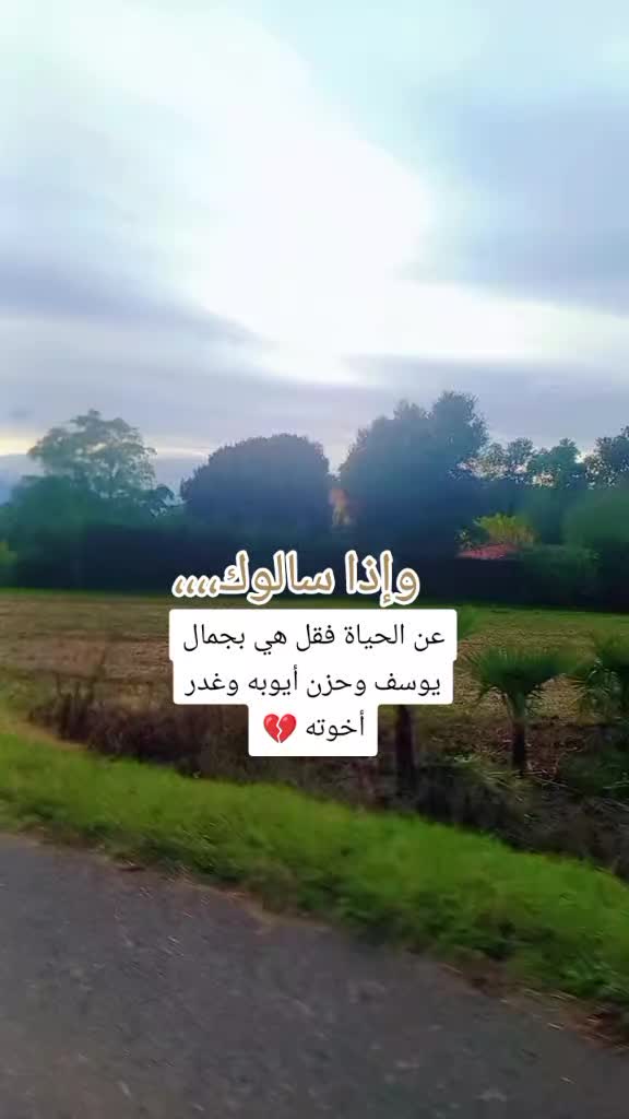 @rifeya