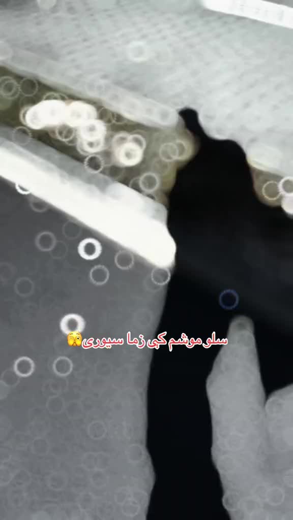 @𝑹𝑲
