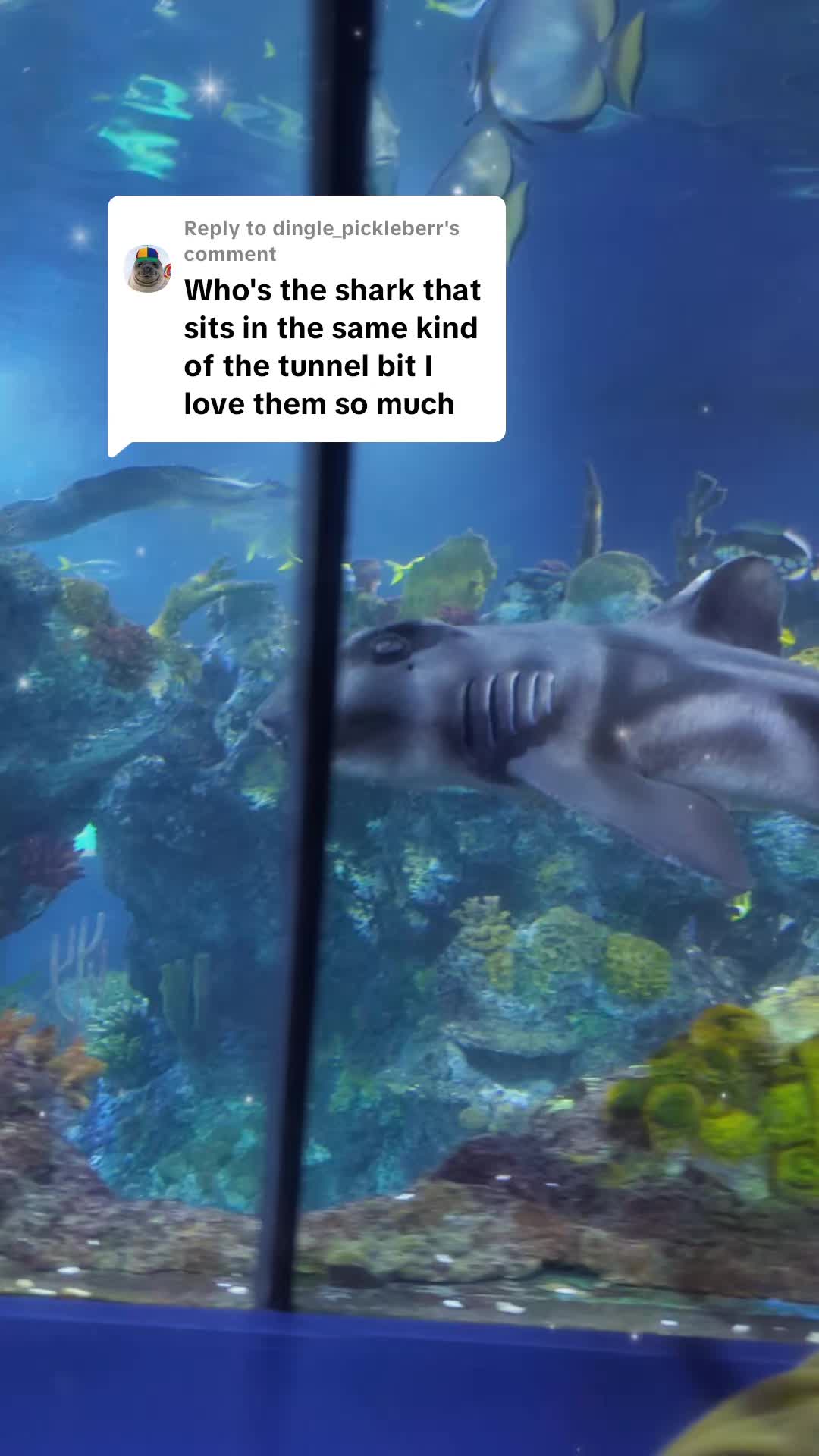 @BristolAquarium
