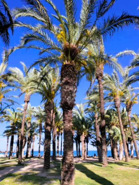 @Life in Spain