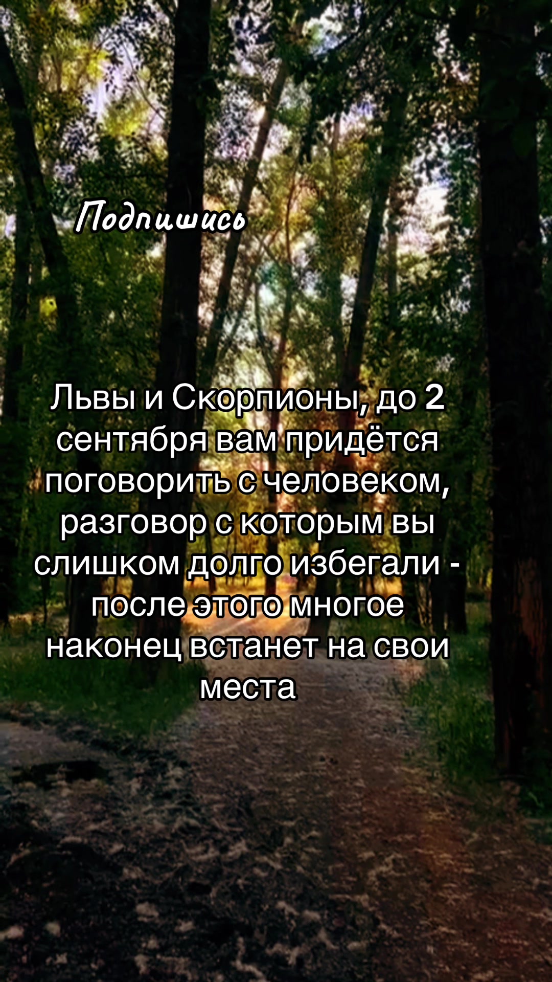 @stoforiadi_olga